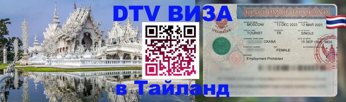 Оформление DTV визы под ключ: стоимость и тарифы, только загранпаспорт - 